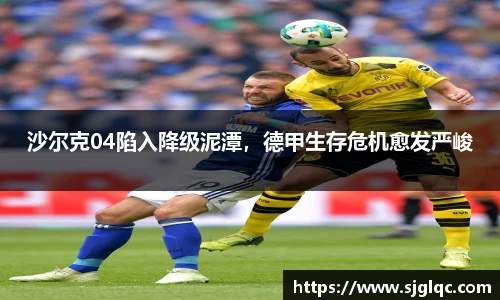 沙尔克04陷入降级泥潭，德甲生存危机愈发严峻