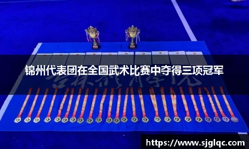 锦州代表团在全国武术比赛中夺得三项冠军